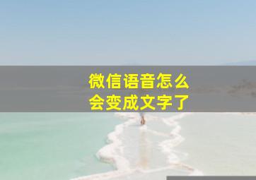 微信语音怎么会变成文字了