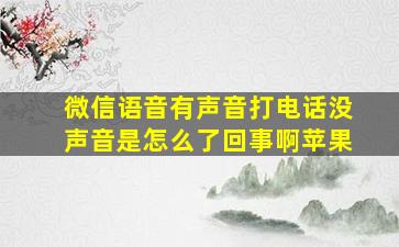 微信语音有声音打电话没声音是怎么了回事啊苹果