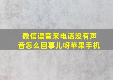 微信语音来电话没有声音怎么回事儿呀苹果手机