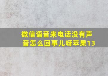 微信语音来电话没有声音怎么回事儿呀苹果13