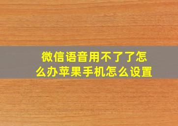 微信语音用不了了怎么办苹果手机怎么设置