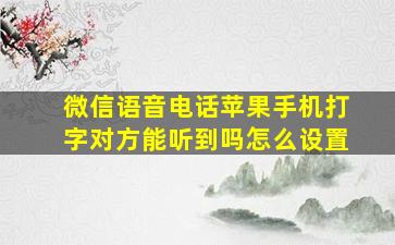 微信语音电话苹果手机打字对方能听到吗怎么设置