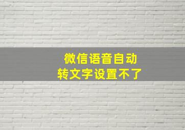 微信语音自动转文字设置不了