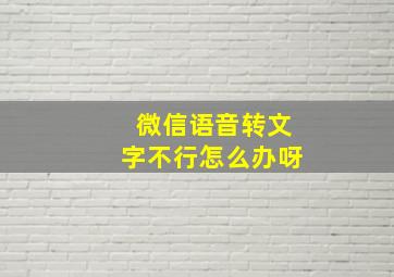 微信语音转文字不行怎么办呀