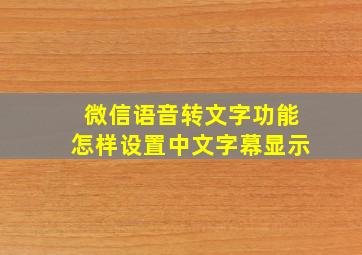 微信语音转文字功能怎样设置中文字幕显示