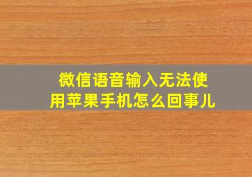 微信语音输入无法使用苹果手机怎么回事儿