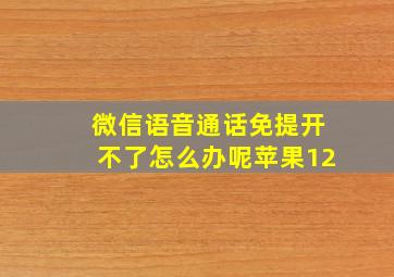 微信语音通话免提开不了怎么办呢苹果12