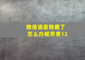 微信语音隐藏了怎么办呢苹果12