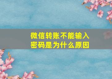 微信转账不能输入密码是为什么原因