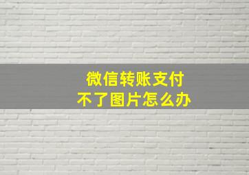 微信转账支付不了图片怎么办