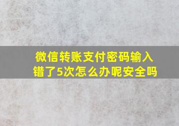 微信转账支付密码输入错了5次怎么办呢安全吗