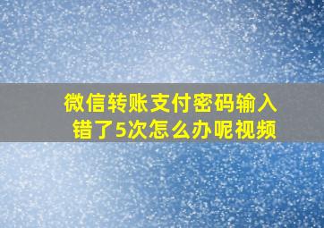 微信转账支付密码输入错了5次怎么办呢视频