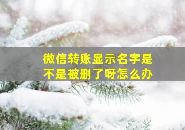 微信转账显示名字是不是被删了呀怎么办