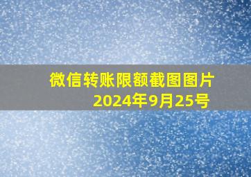 微信转账限额截图图片2024年9月25号