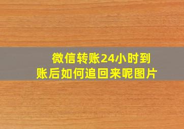 微信转账24小时到账后如何追回来呢图片