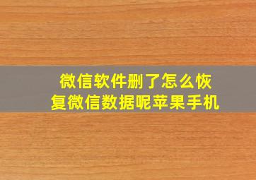 微信软件删了怎么恢复微信数据呢苹果手机