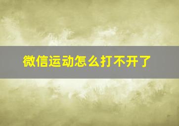 微信运动怎么打不开了