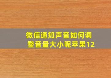 微信通知声音如何调整音量大小呢苹果12