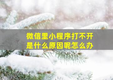 微信里小程序打不开是什么原因呢怎么办