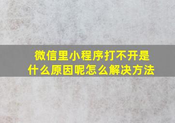 微信里小程序打不开是什么原因呢怎么解决方法