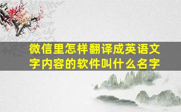 微信里怎样翻译成英语文字内容的软件叫什么名字