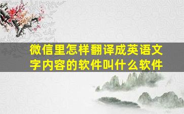 微信里怎样翻译成英语文字内容的软件叫什么软件