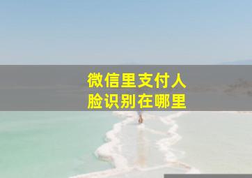 微信里支付人脸识别在哪里