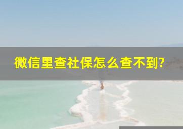 微信里查社保怎么查不到?