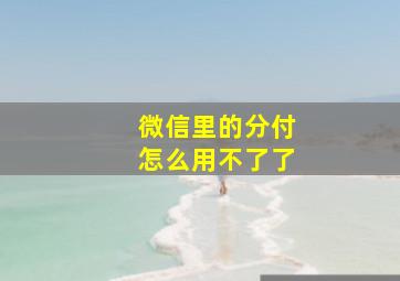 微信里的分付怎么用不了了