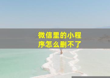 微信里的小程序怎么删不了