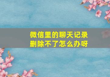 微信里的聊天记录删除不了怎么办呀