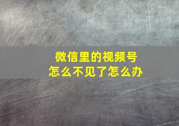 微信里的视频号怎么不见了怎么办