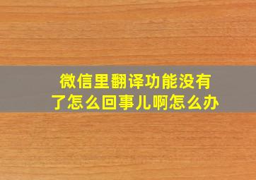 微信里翻译功能没有了怎么回事儿啊怎么办