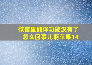 微信里翻译功能没有了怎么回事儿啊苹果14