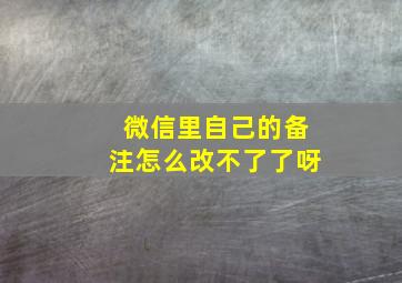 微信里自己的备注怎么改不了了呀