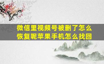 微信里视频号被删了怎么恢复呢苹果手机怎么找回