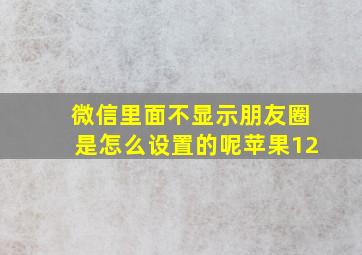 微信里面不显示朋友圈是怎么设置的呢苹果12