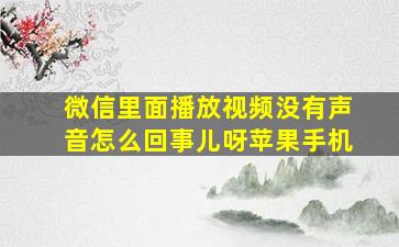 微信里面播放视频没有声音怎么回事儿呀苹果手机