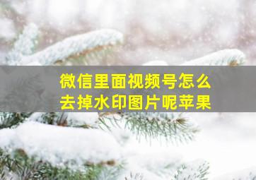 微信里面视频号怎么去掉水印图片呢苹果