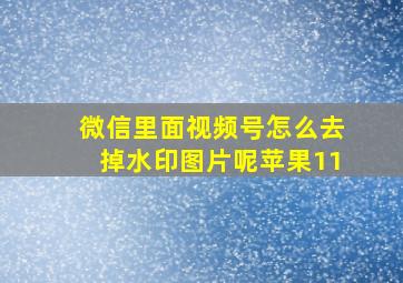 微信里面视频号怎么去掉水印图片呢苹果11