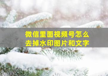 微信里面视频号怎么去掉水印图片和文字