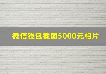 微信钱包截图5000元相片