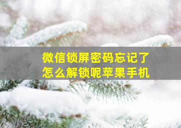 微信锁屏密码忘记了怎么解锁呢苹果手机