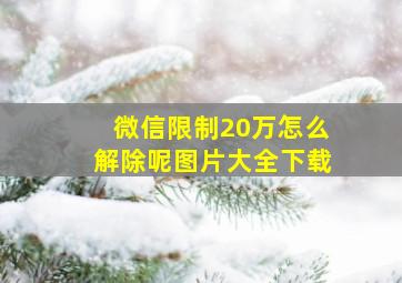 微信限制20万怎么解除呢图片大全下载