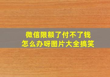 微信限额了付不了钱怎么办呀图片大全搞笑