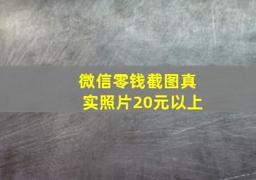 微信零钱截图真实照片20元以上