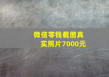 微信零钱截图真实照片7000元