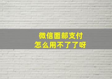 微信面部支付怎么用不了了呀