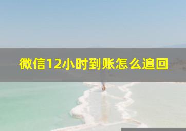 微信12小时到账怎么追回