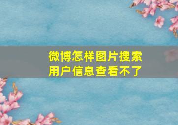 微博怎样图片搜索用户信息查看不了